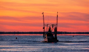 Shrimp boat on Apalachicola Bay