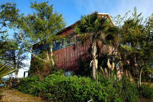 Apalachicola Power Station