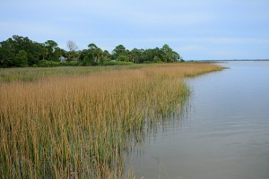60+ acres on Blount's Bay - $250,000.