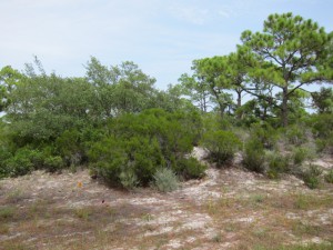 1324 Azalea Drive, Plantation Gulf View lot - $57,900.