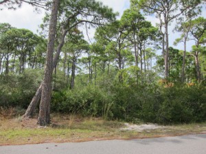 1652 Ivy Way, St George Plantation - $89,000.