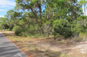 1448 Blueberry Lane - $110,000.  Plantation, SGI