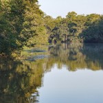 Riverfront Property-172 Acres: $299,000.